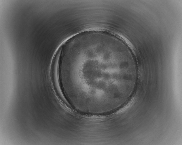 X0000113580779200909181306
