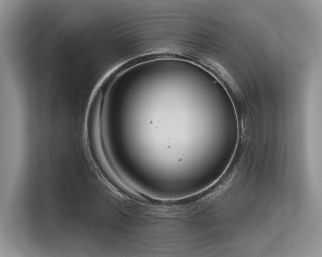 X0000113580780200909181306