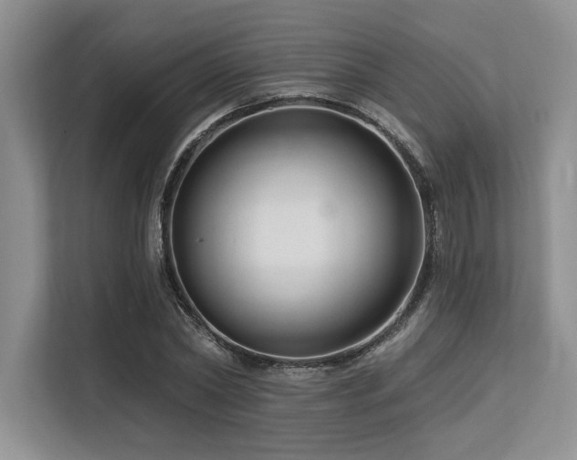 X0000113580782200909181306