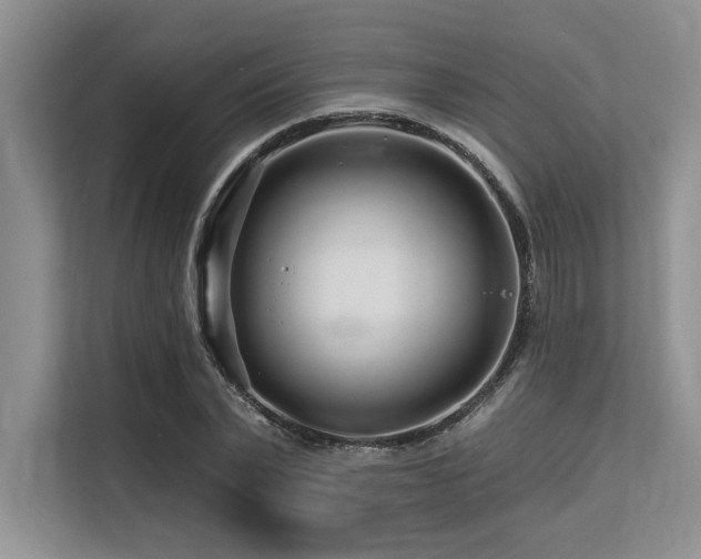 X0000113580783200909181306