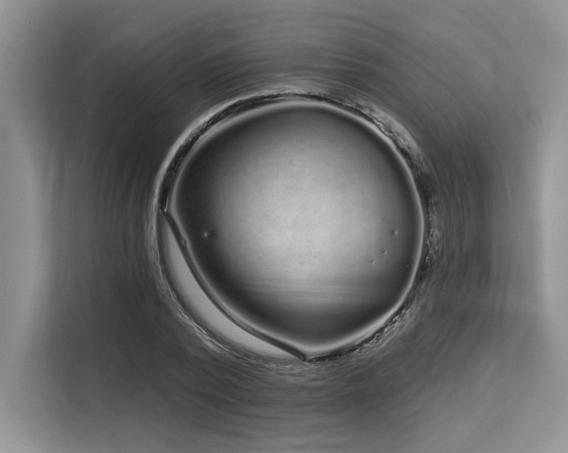 X0000113580784200909181306