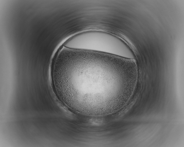 X0000113580788200909181306