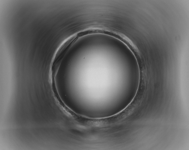X0000113580791200909181306