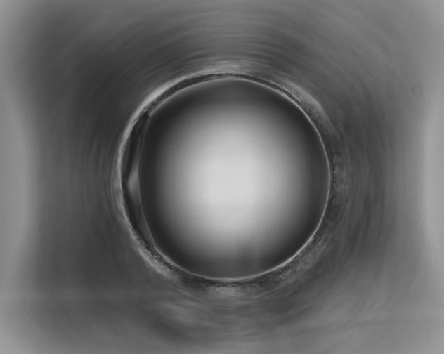 X0000113580792200909181306