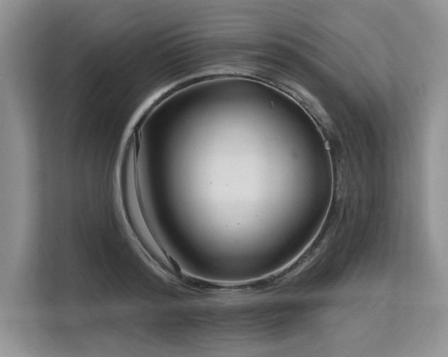 X0000113580796200909181306