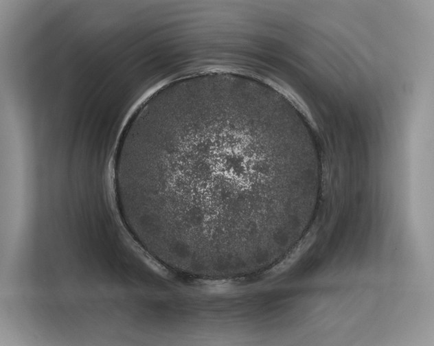 X0000113580798200909181306
