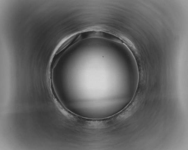 X0000113580800200909181306