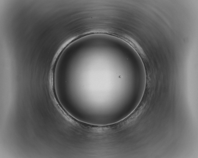 X0000113580804200909181306