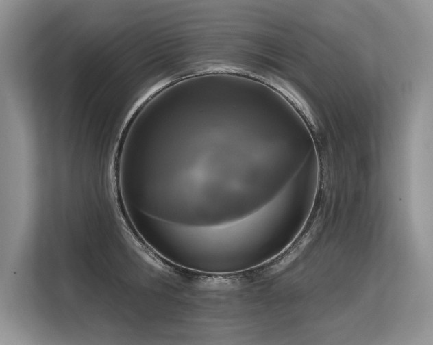 X0000113580806200909181306