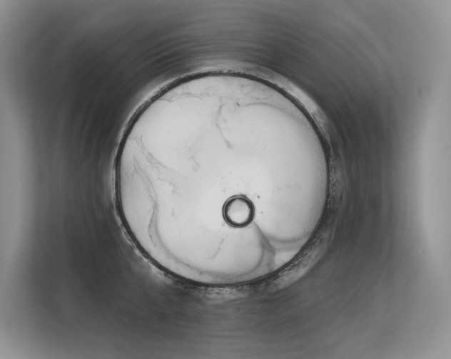 X0000113580807200909181306
