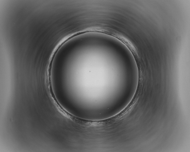 X0000113580808200909181306