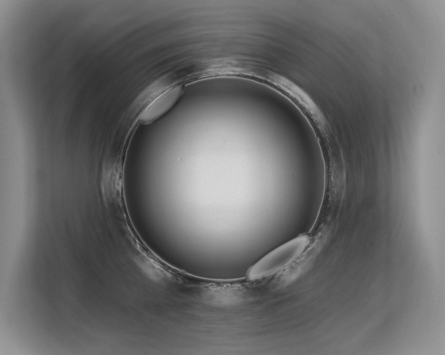 X0000113580809200909181306