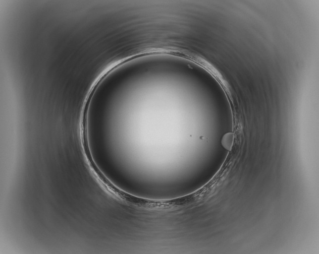 X0000113580811200909181306