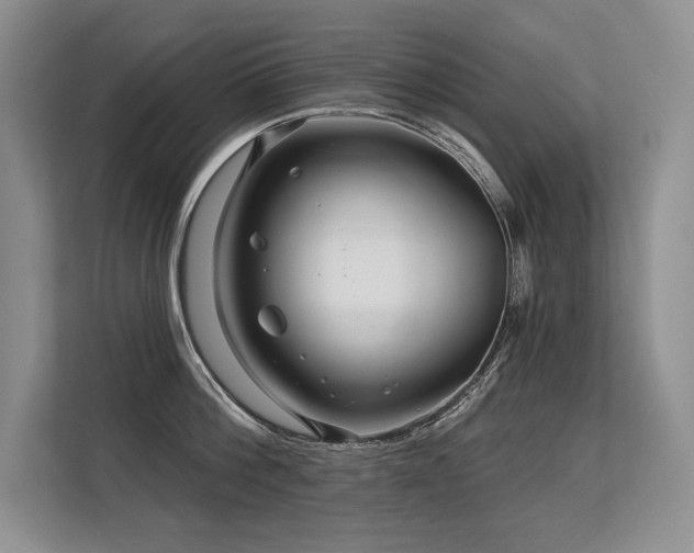 X0000113580812200909181306