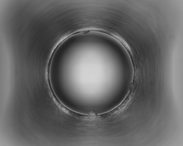 X0000113580813200909181306