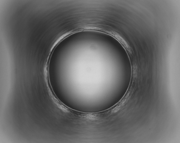 X0000113580814200909181306