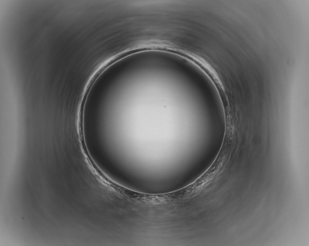 X0000113580815200909181306