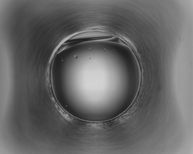 X0000113580816200909181306
