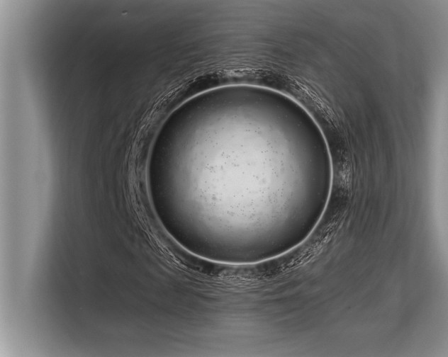 X0000113580817200909181305