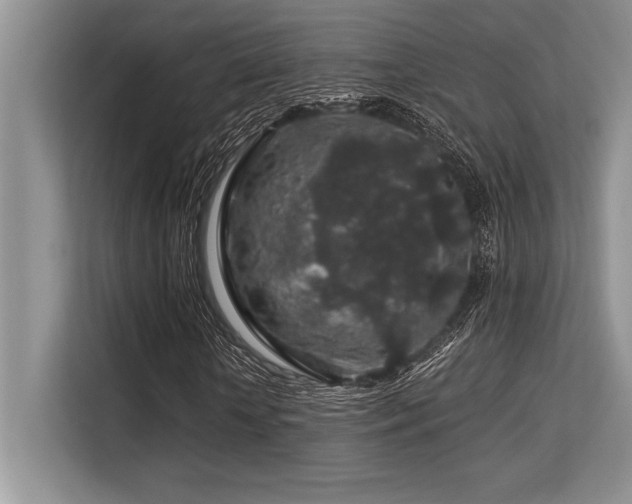 X0000113580818200909181305