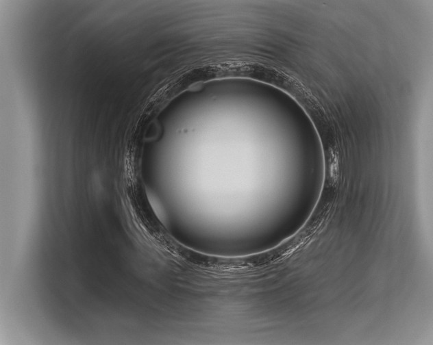 X0000113580819200909181305
