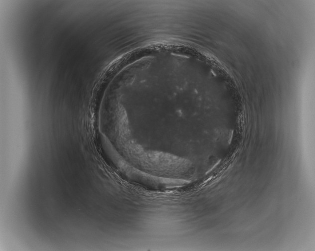 X0000113580822200909181305