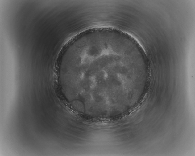 X0000113580823200909181305