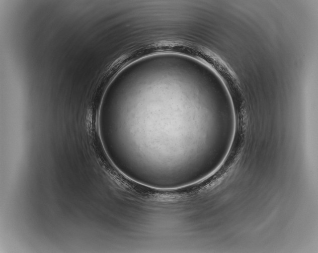 X0000113580825200909181305