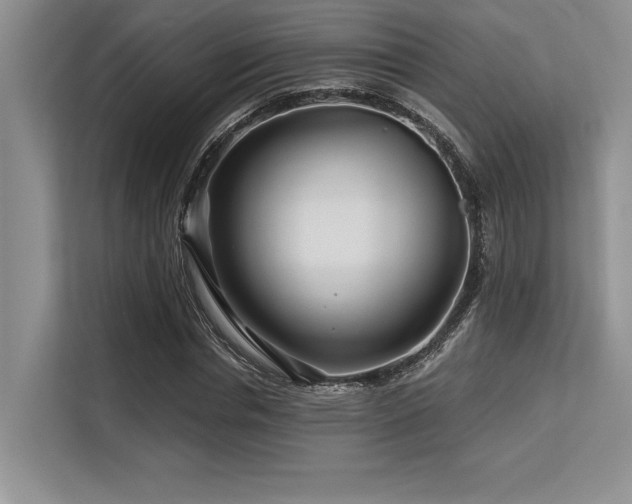 X0000113580826200909181305