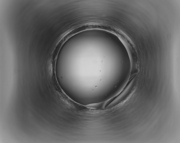 X0000113580829200909181305