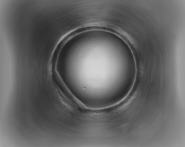 X0000113580830200909181305