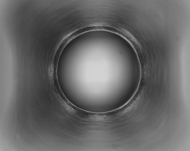 X0000113580831200909181305