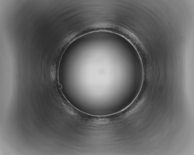 X0000113580833200909181305