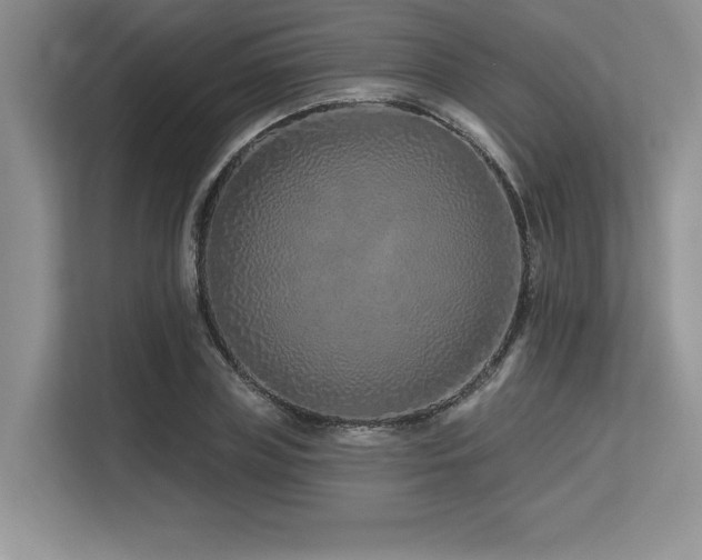 X0000113580835200909181305