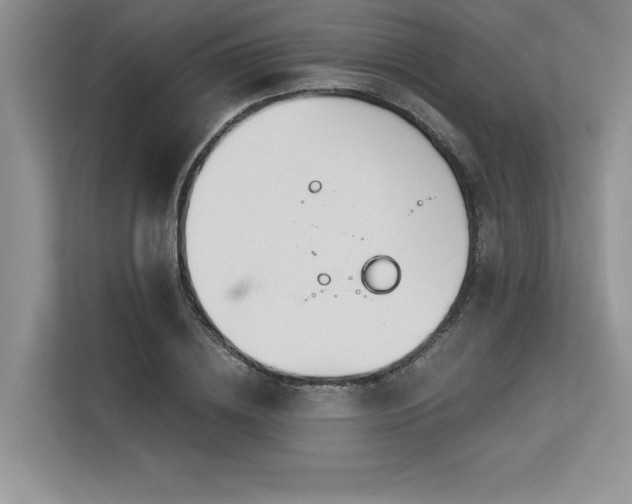 X0000113580836200909181305