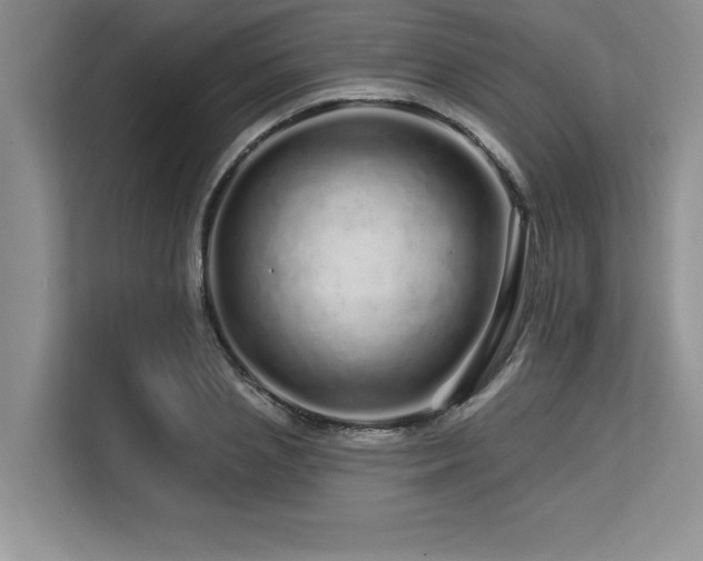 X0000113580837200909181305