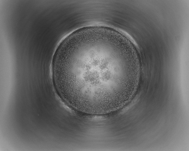 X0000113580839200909181305