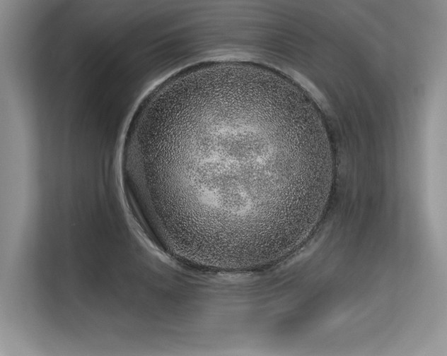X0000113580840200909181305