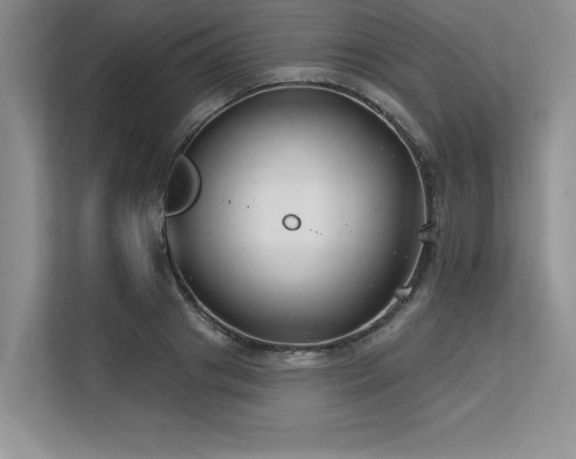 X0000113580841200909181305