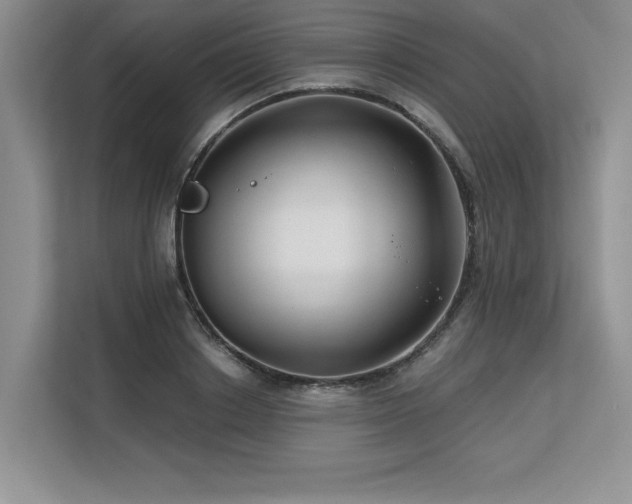 X0000113580842200909181305