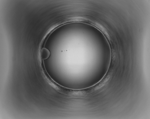 X0000113580843200909181305