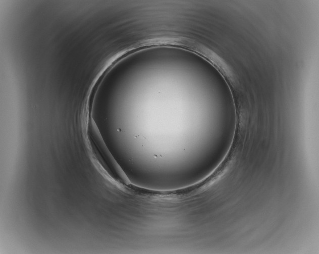 X0000113580844200909181305