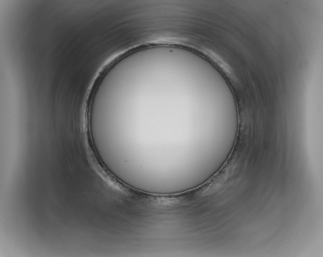 X0000113580848200909181306