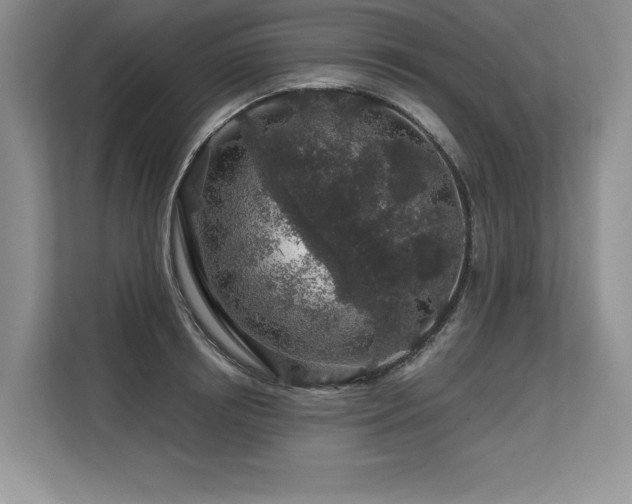 X0000113580850200909181306