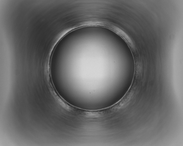 X0000113580852200909181306
