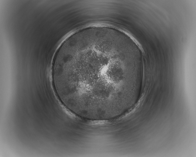 X0000113580853200909181306