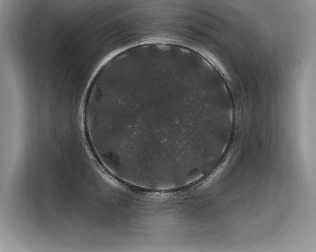 X0000113580854200909181306
