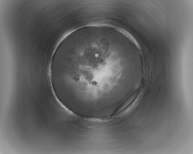 X0000113580855200909181306