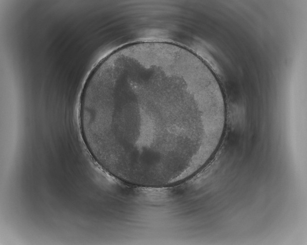 X0000113580856200909181306
