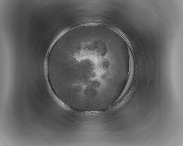 X0000113580859200909181306